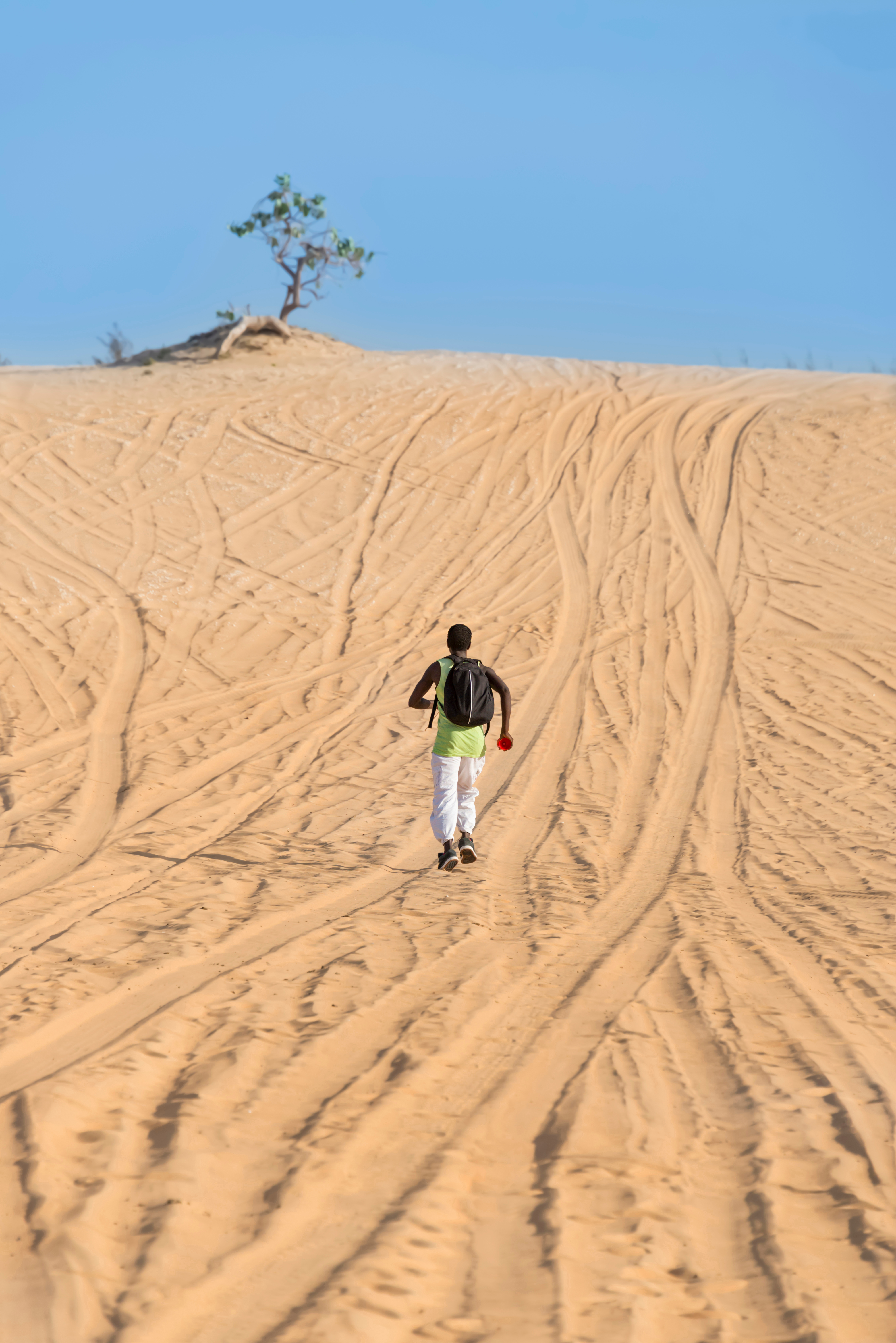 Sahel and Maghreb 