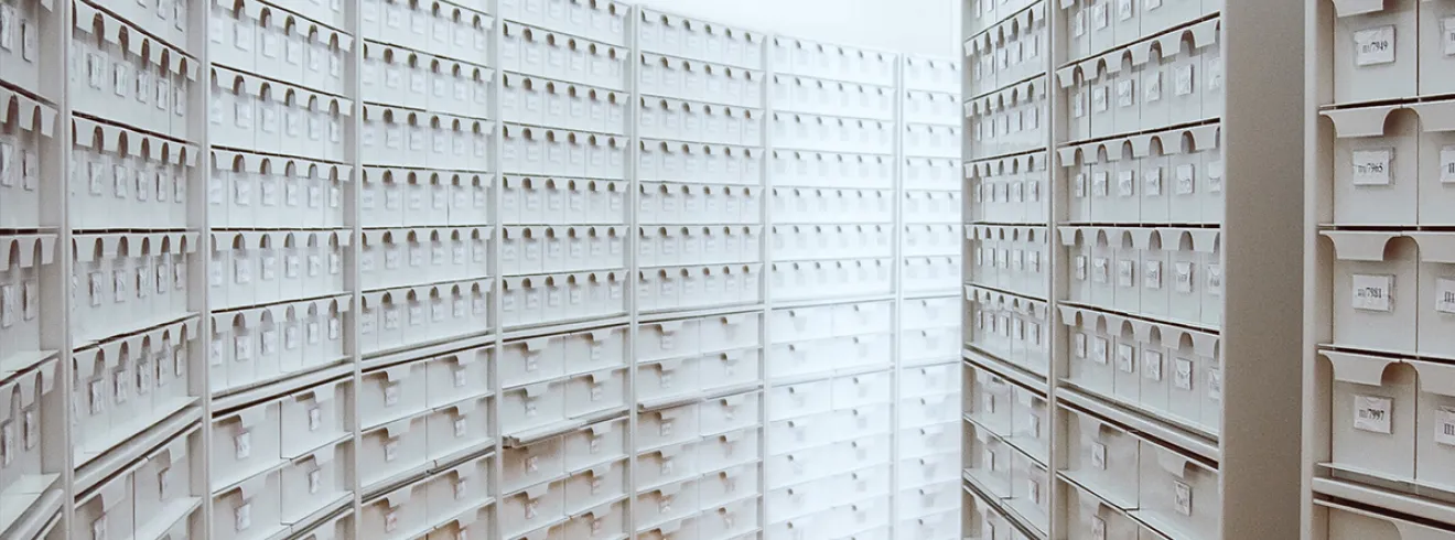 Archive Section Banner