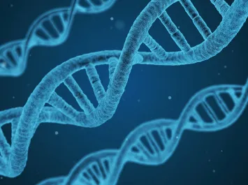 International Network on Biotechnology (INB)