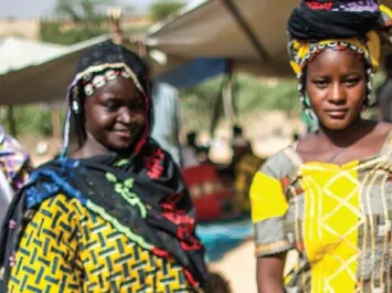 Merit - Quantitative Report Mali