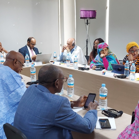 Atelier de renforcement des capacités pour les représentants des organisations de la société civile sur l'intégration d’une perspective de genre dans les initiatives de Prévention de l’Extrémisme Violent