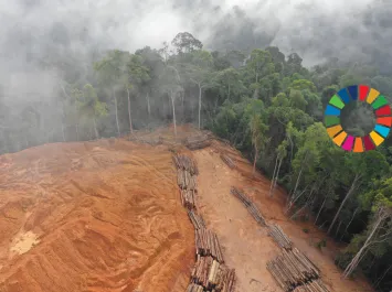 UNICRI Joins Nature Crime Alliance Amid Growing Focus on Illegal Mining