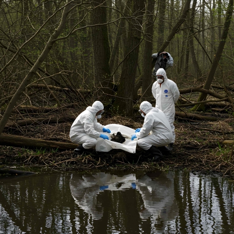 Environmental Crimes