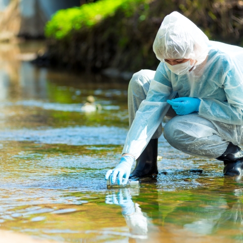 Environmental Crimes