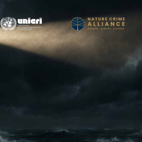 Exposing Environmental Crimes: Online Training for Journalists and Communication Professionals
