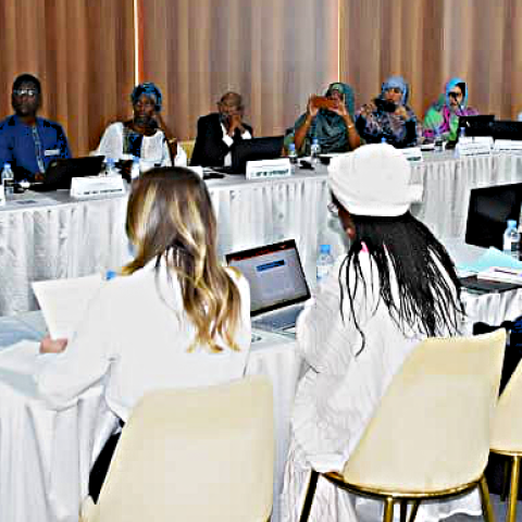 Technical Workshop: Participatory Consultation and Validation of Priority Areas Facing Climate and Violent Extremism Risks in Mauritania
