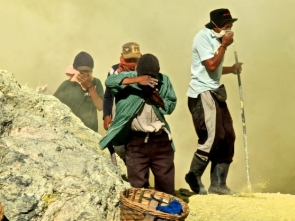 Winter School on Environmental Crimes 2022