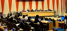 ECOSOC Welcomes the Contributions of UNICRI to the UN System in Crime Prevention and Criminal Justice