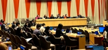ECOSOC Welcomes the Contributions of UNICRI to the UN System in Crime Prevention and Criminal Justice