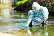 Environmental Crimes