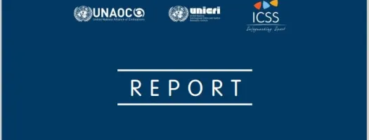 Global programme on security and major sporting events 