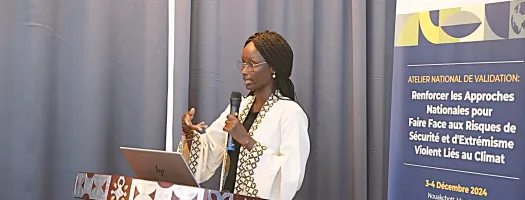 Strengthening National Approaches to Address Climate-Related Security Risks and Violent Extremism: Key Insights and Recommendations from the Nouakchott Validation Workshop