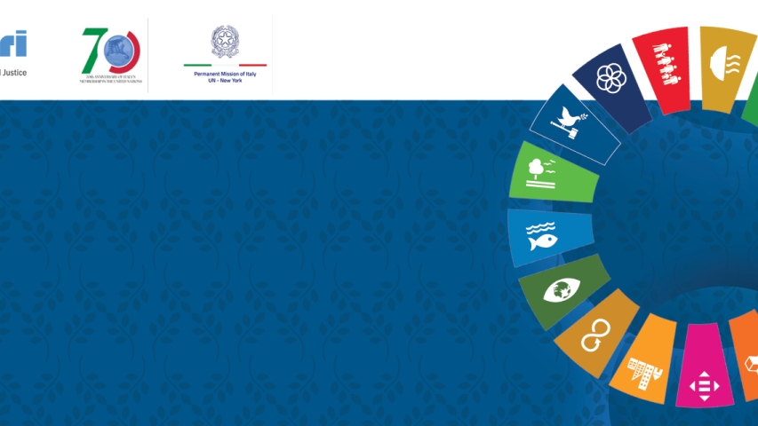 UNICRI's Consultation with Member States